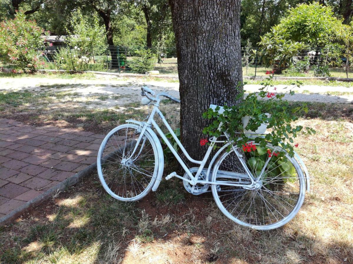 Apartment Parenzana, Little Row House With Big Green Yard In Central Istria Rakotule 외부 사진